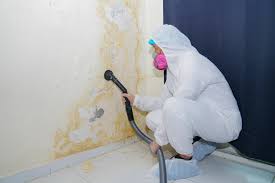 Best Commercial Mold Inspection  in East Peoria, IL